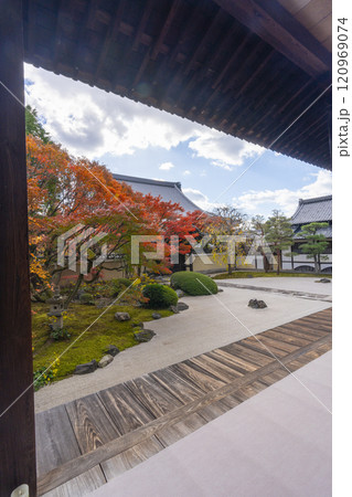 京都　妙顯寺（妙顕寺）　紅葉が美しい四海唱導の庭 120969074
