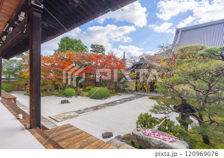 京都 妙顯寺(妙顕寺) 紅葉が美しい四海唱導の庭 京都 妙顯寺(妙顕寺) 紅葉が美しい四海唱導の庭 120969076
