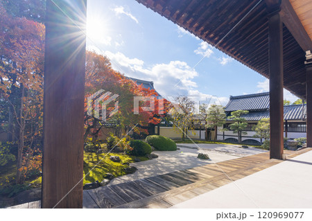 京都　妙顯寺（妙顕寺）　紅葉が美しい四海唱導の庭 120969077
