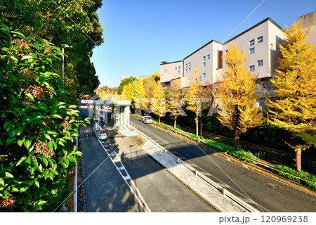 秋の首都高速4号新宿線 代々木出入口 秋の首都高速4号新宿線 代々木出入口 120969238