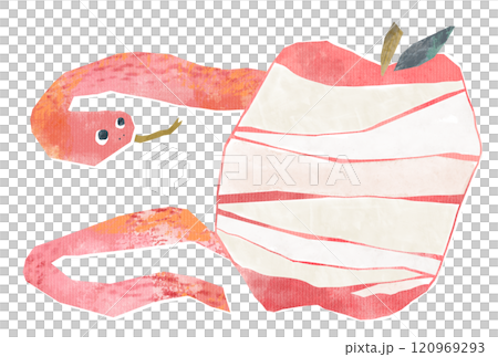 皮を剥いたリンゴと蛇のキャラクターのイラスト 120969293