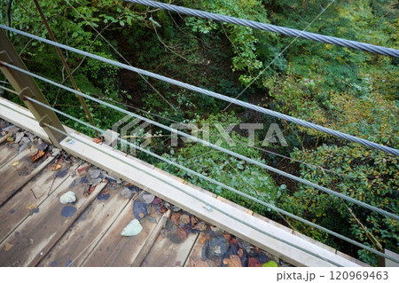 東京都高尾山四号路にある唯一のつり橋から見た眼下 120969463