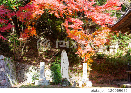兵庫県三木市にある大谷山 大谿寺 伽耶院(だいけいじきゃらいん)境内の紅葉が見頃のお庭にある石仏 兵庫県三木市にある大谷山 大谿寺 伽耶院(だいけいじきゃらいん)境内の紅葉が見頃のお庭にある石仏 120969683