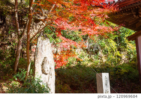 兵庫県三木市にある大谷山 大谿寺 伽耶院(だいけいじきゃらいん)境内の紅葉が見頃のお庭にある石仏 兵庫県三木市にある大谷山 大谿寺 伽耶院(だいけいじきゃらいん)境内の紅葉が見頃のお庭にある石仏 120969684