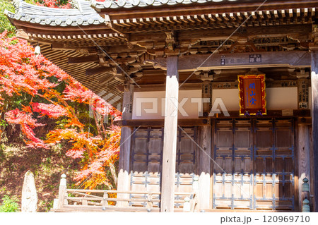 兵庫県三木市にある大谷山 大谿寺 伽耶院(だいけいじきゃらいん)境内の紅葉が見頃の開山堂 兵庫県三木市にある大谷山 大谿寺 伽耶院(だいけいじきゃらいん)境内の紅葉が見頃の開山堂 120969710
