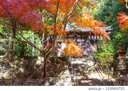 兵庫県三木市にある紅葉の綺麗な大谷山 大谿寺 伽耶院（だいけいじきゃらいん）行者堂 120969781