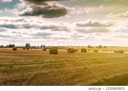 Twisted haystack on agriculture field landscape 120969905