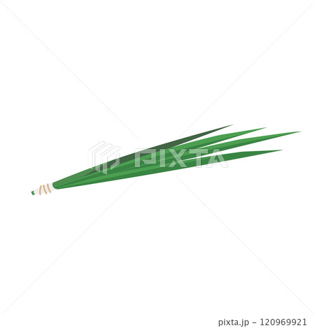端午の節句に使う菖蒲のベクターイラスト 端午の節句に使う菖蒲のベクターイラスト 120969921
