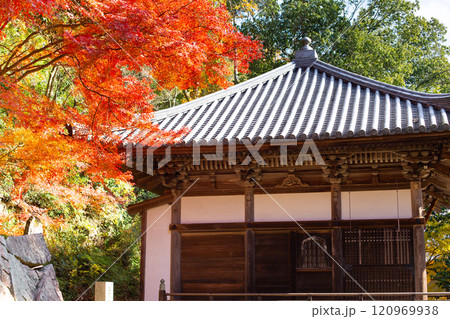兵庫県三木市にある紅葉の綺麗な大谷山 大谿寺 伽耶院（だいけいじきゃらいん）本堂 120969938
