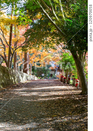 兵庫県三木市にある大谷山 大谿寺 伽耶院（だいけいじきゃらいん）境内の紅葉が見頃のお庭にある地蔵さん 120970058