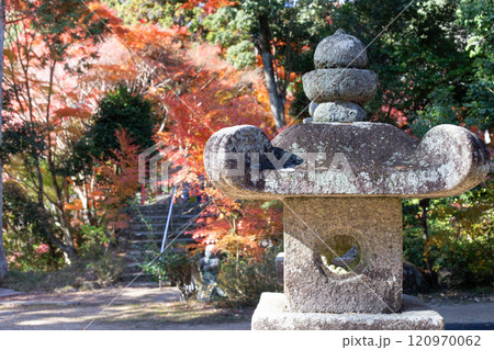 兵庫県三木市にある大谷山 大谿寺 伽耶院（だいけいじきゃらいん）境内の紅葉が見頃のお庭にある石灯籠 120970062