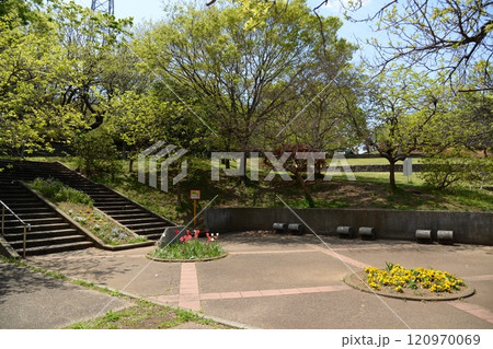 日吉公園　神奈川県横浜市港北区日吉 120970069