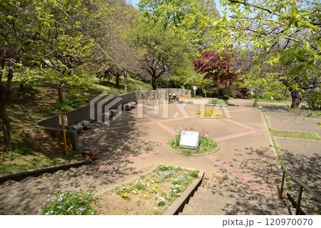 日吉公園 神奈川県横浜市港北区日吉 日吉公園 神奈川県横浜市港北区日吉 120970070
