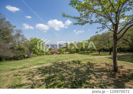 日吉公園 神奈川県横浜市港北区日吉 日吉公園 神奈川県横浜市港北区日吉 120970072