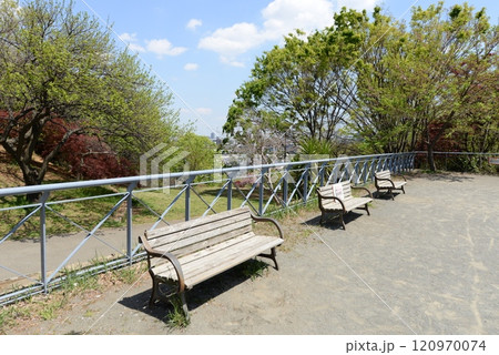 日吉公園　神奈川県横浜市港北区日吉 120970074