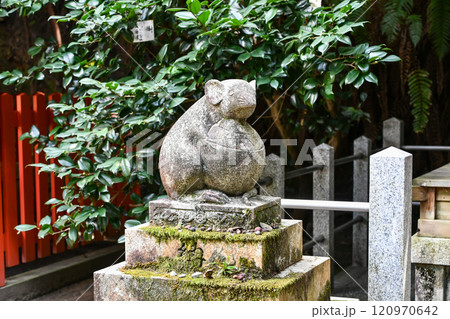 京都 哲学の道 大豊神社 大国社の狛ねずみ 120970642
