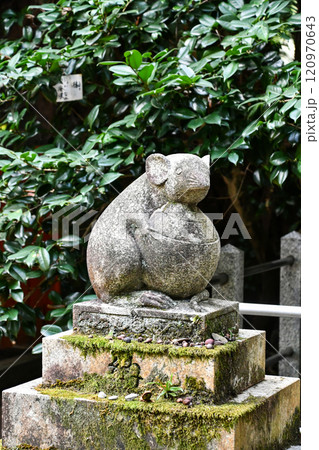 京都 哲学の道 大豊神社 大国社の狛ねずみ 120970643