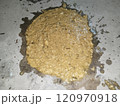 Human heavy vomiting on the floor at night. 120970918
