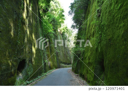 岩隈山の切り通し 120971401