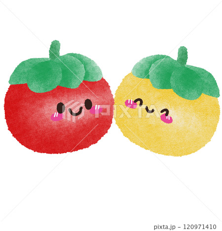 cute tomatos  120971410