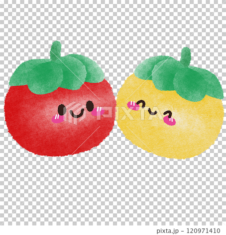 cute tomatos  120971410