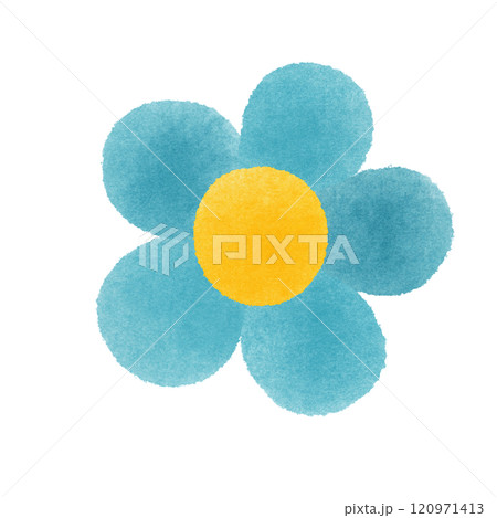 blue flower 120971413