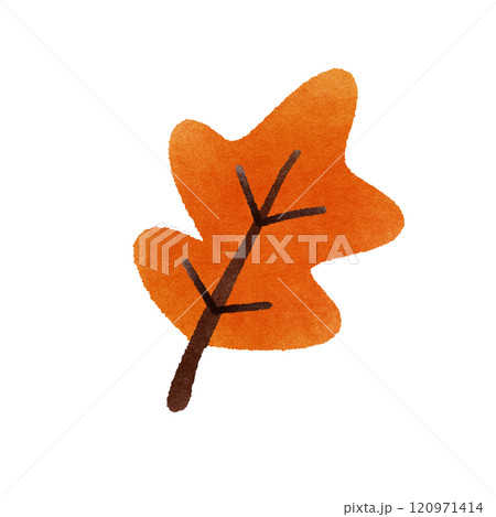 autumn leaf  120971414