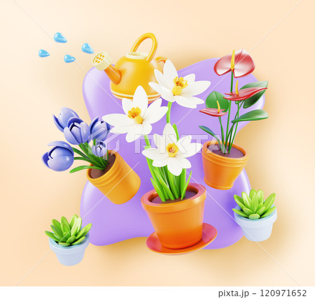 Spring 3d background with flowers in pots and watering can with water drops render. Flying tulip, narcissus, anthurium in flowerpot, vase. Floral house plants, home garden care banner. 3D illustration 120971652
