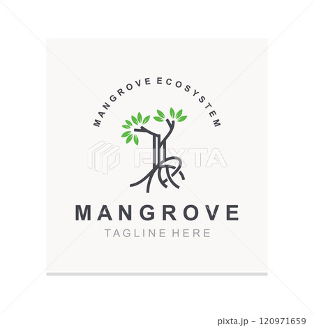 Mangrove tree logo nature design Abstract Minimalist Sign Symbol Environment template 120971659
