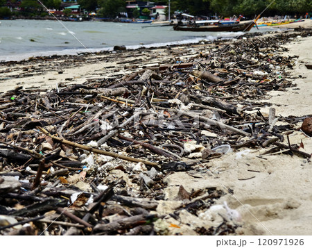 A beach heavily littered with wood and plastic 120971926