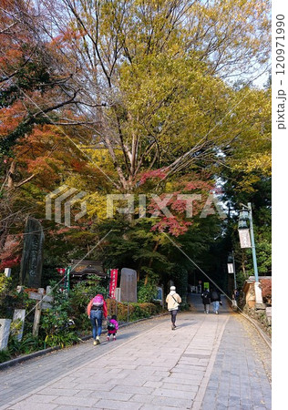 【高尾山】紅葉が美しい秋の高尾山薬王院参道 120971990