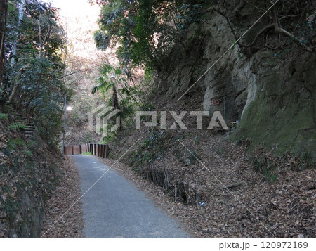 鎌倉市の亀ヶ谷坂(鎌倉七口) 鎌倉市の亀ヶ谷坂(鎌倉七口) 120972169
