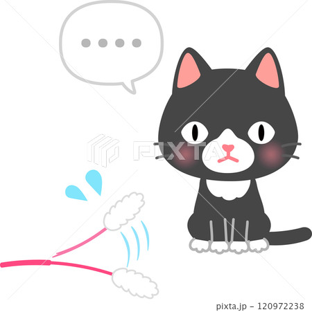 猫じゃらしに無反応な猫 120972238