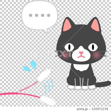 猫じゃらしに無反応な猫 120972238