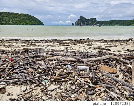 A beach heavily littered with wood and plastic A beach heavily littered with wood and plastic 120972382