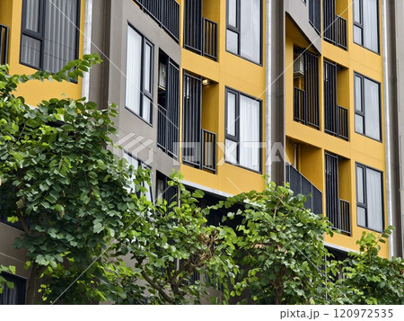Detailed view of windows, doors and balconies of city buildings  120972535