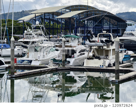 A tranquil and serene marina scene featuring various boats 120972624