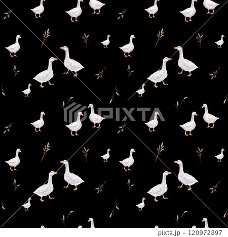 Watercolor seamless pattern with goose farm bird and ears of wheat. Tender illustration on a isolated on background. Repeat wallpapers with hand drawn illustration domestic birds and autumn harvest. 120972897