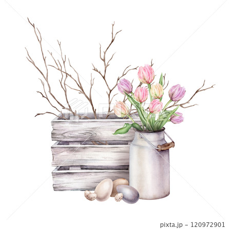 Painted chicken eggs symbols of Easter celebration and wooden box with fall tree branch without leaves. Hand drawn watercolor illustration, isolated. Pastel multicolored bouquet Tulips in metal can. Painted chicken eggs symbols of Easter celebration and wooden box with fall tree branch without leaves. Hand drawn watercolor illustration, isolated. Pastel multicolored bouquet Tulips in metal can. 120972901
