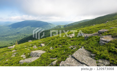 carpathian mountain landscape in summer. spectacular highland. alpine scenery with grassy hills. green nature background. outdoor adventure carpathian mountain landscape in summer. spectacular highland. alpine scenery with grassy hills. green nature background. outdoor adventure 120973008