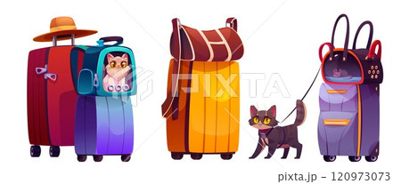 Cat travel in carrier. Pet journey in bag vector 120973073