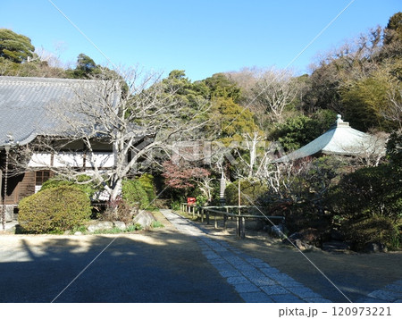 鎌倉市の浄光明寺（参道・客殿・不動堂） 120973221