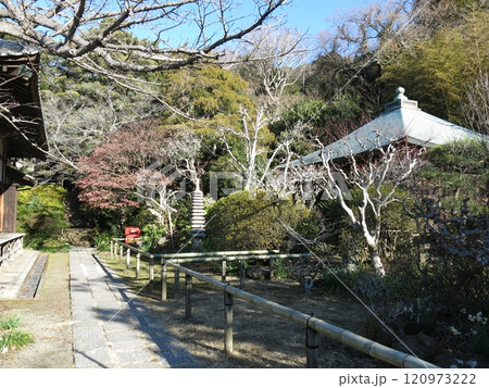 鎌倉市の浄光明寺（参道・不動堂） 120973222