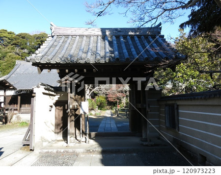 鎌倉市の浄光明寺（山門） 120973223