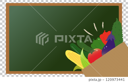 Frame of harvested summer vegetables and a blackboard Frame of harvested summer vegetables and a blackboard 120973441