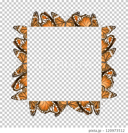 Orange and black butterflies square frame with copy space watercolor isolated illustration. Summer and fall flying monarch template in autumn colors 120973512