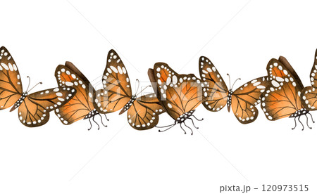 Monarch orange butterflies migration watercolor seamless border on white background. Fall flying insects endless horizontal banner for summer and fall nature designs 120973515