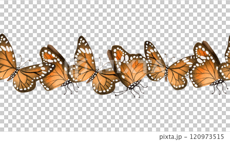 Monarch orange butterflies migration watercolor seamless border on white background. Fall flying insects endless horizontal banner for summer and fall nature designs 120973515
