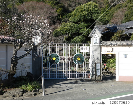 白梅が咲く鎌倉市の英勝寺（拝観入口） 120973630