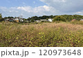 日本の田舎の風景 120973648